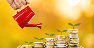 Au intrat în vigoare modificările la Regulamentul privind rambursarea TVA pentru producătorii agricoli