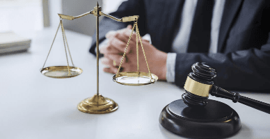 Efectele admiterii spre examinare a cererii introductive. Măsurile de asigurare