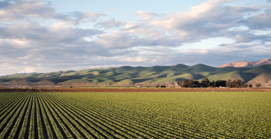 Procurarea unui teren în străinătate de către agentul economic din RM: repatrierea mijloacelor bănești