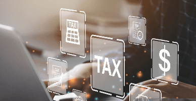 Новые субъекты, обязанные с 2025 года использовать электронную налоговую накладную  