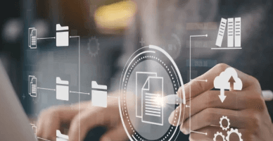 Salariații angajați de rezidenții parcului IT: garanţii juridice 