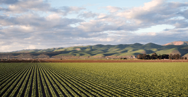 Codul subsolului: agenții economici cu activități din domeniul subsolului vor asigura o garanție financiară pentru refacerea mediului