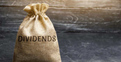 Aprobat de Guvern! Ce societăți comerciale vor fi scutite de lа plata dividendelor din profitul net obținut în anul 2023?