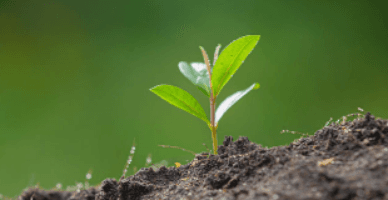 Codul subsolului în redacție nouă va intra în vigoare la expirarea a 18 luni de la data publicării 