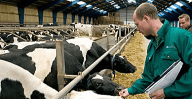 Start depunerii cererilor de solicitare pentru acordarea plăților directe în sectorul zootehnic