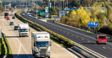  Аспекты, связанные с виньеткой в Республике Молдова