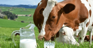 AIPA: 23 august – ultima zi de depunere a cererilor de solicitare a plății directe per kg de produs