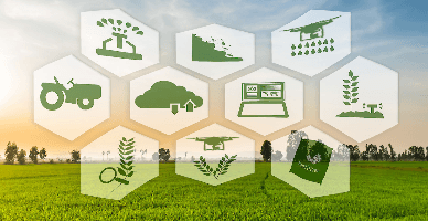 În Moldova ar putea activa un nou parc industrial