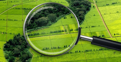 Programul de stat pentru crearea cadastrului bunurilor imobile: termenul de implementare, extins