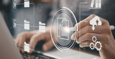 Programul de dezvoltare IT al SFS pentru următorii ani. Care sunt obiectivele generale