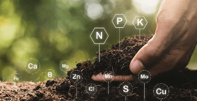 Codul subsolului în redacție nouă va intra în vigoare în luna mai 2026