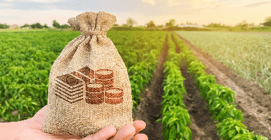 Ultimul apel pentru depunerea dosarelor în cadrul Programului de Granturi „Managementul durabil al terenurilor”