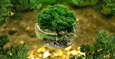 POLMED25: formularul, propus pentru consultări publice