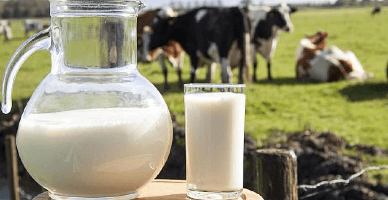 4 aprilie - data limită de depunere a cererilor pentru unele granturi oferite de Proiectul AGGRI 