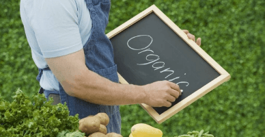 Importul produselor ecologice. Guvernul a aprobat noi reglementări