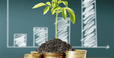 Вступили в силу поправки, предусматривающие дополнительные меры поддержки сельхозпроизводителей