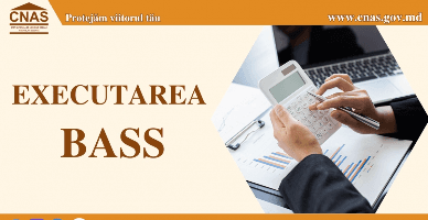 BASS în primul trimestru: 28,4% din venituri executate
