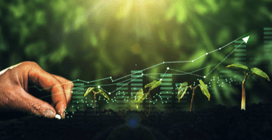 Regulamentul privind rambursarea TVA pentru producătorii agricoli va fi actualizat