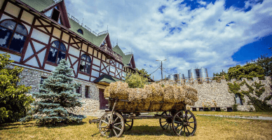 Operatorii tichetelor de vacanță, obligați să prezinte la SFS un raport anual cu privire la gestionarea tichetelor acordate