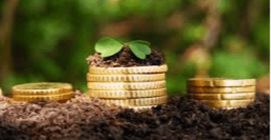 Schimbarea destinației terenurilor agricole: tariful pentru o unitate de punct-hectar la calculul pierderilor, aprobat