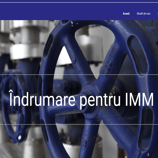 Consultant online permanent în domeniul afacerilor