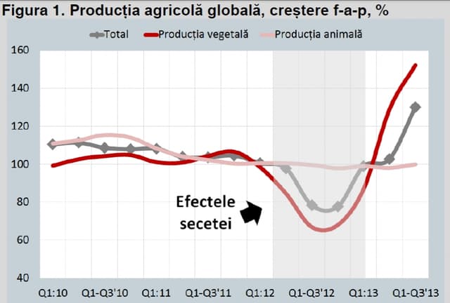 Expert-Group: Realitatea Economică din noiembrie 2013