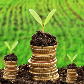 Опубликован новый Закон о субсидировании в сельском хозяйстве и сельской местности