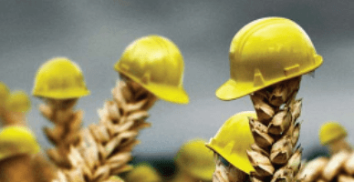 Asigurarea subvenționată: cota pentru anul curent rămâne neschimbată