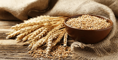 Importul culturilor cerealiere și oleaginoase poate fi permis, provizoriu, doar în baza licenței eliberate de MAIA