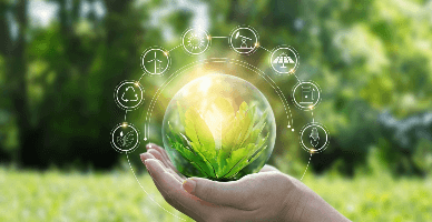 IPM a publicat Graficul controalelor de stat 2025