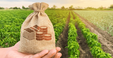 Despre aplicarea tarifului redus pentru entitățile economice din agricultură