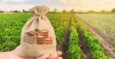 Noi măsuri de ameliorare a situației din sectorul agricol