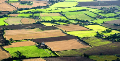 Consultări publice: Instrucțiunea privind modul de consolidare a terenurilor cu destinație agricolă