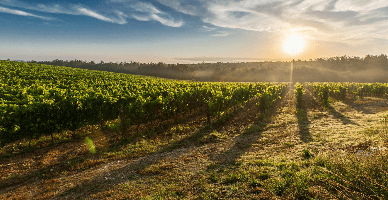 Moratoriu temporar asupra urmăririi silite a bunurilor fermierilor